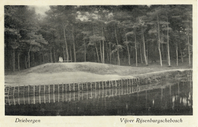 10256 Gezicht op een vijver met naaldbomen in het bos bij Driebergen-Rijsenburg.